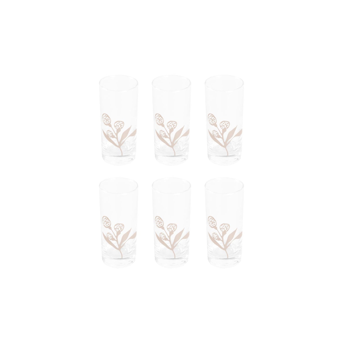 Jogo de 6 Copos de Vodka em Vidro 70 ml Florear